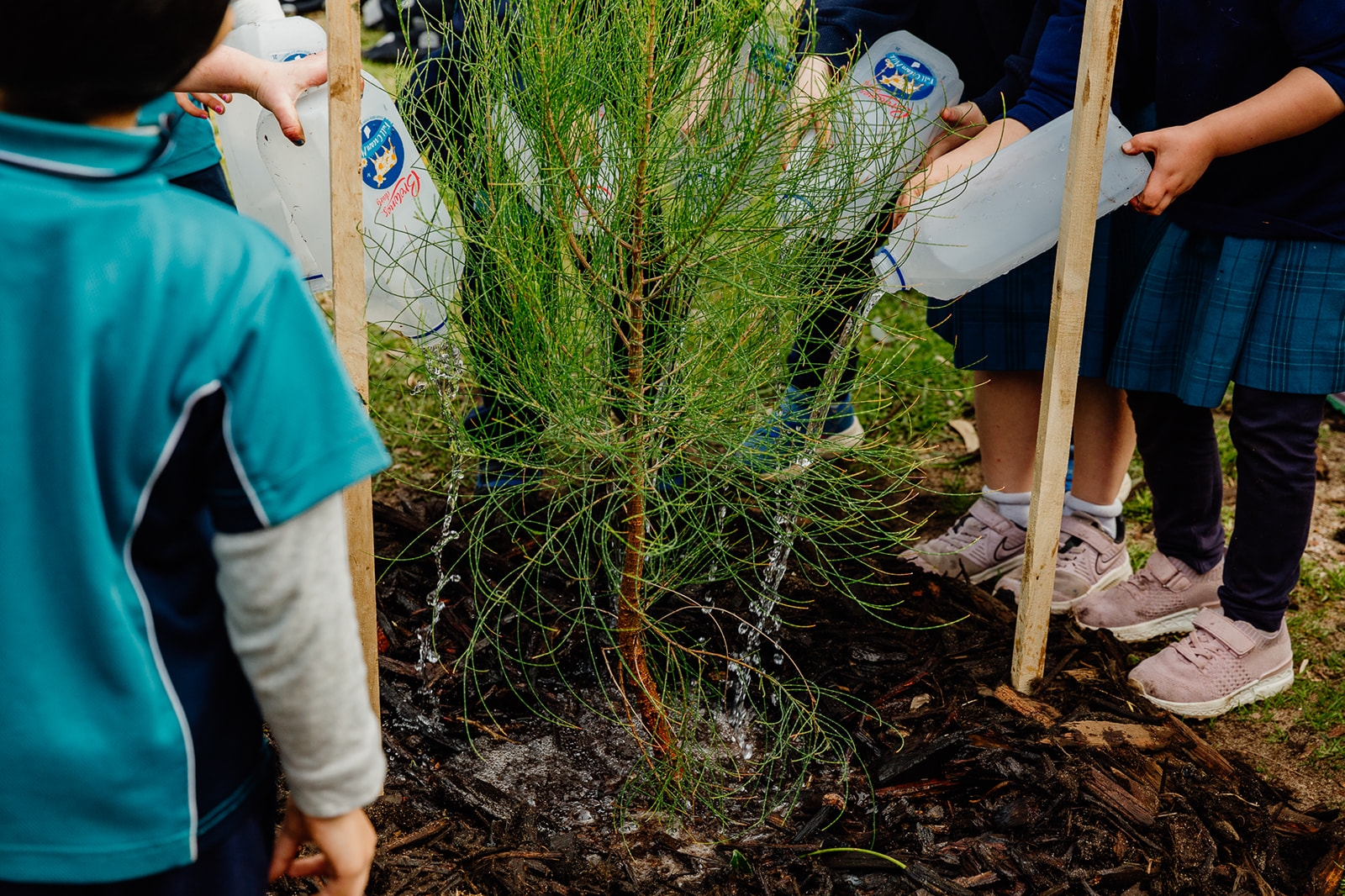 Millen Primary Tree Planting 2021 - Watering Image