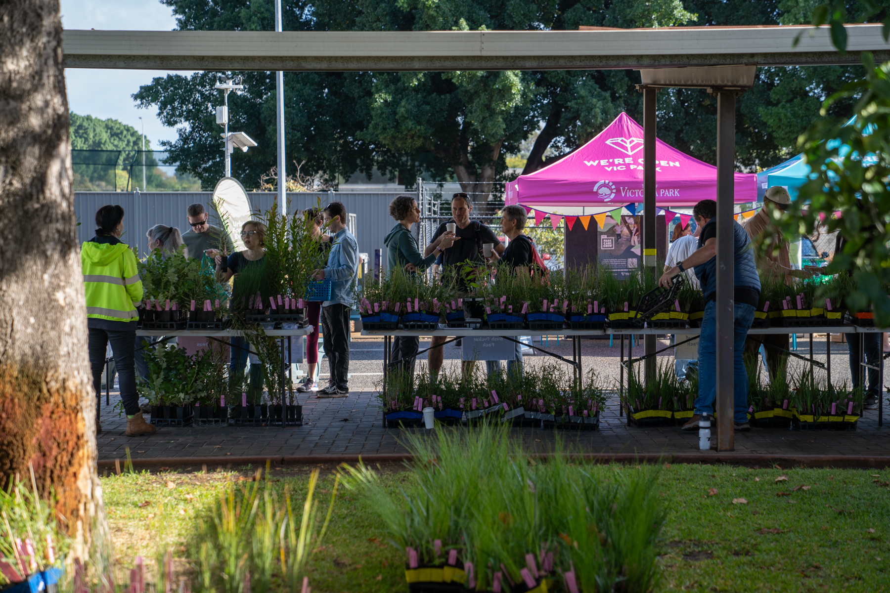 Urban Forest at Home Image