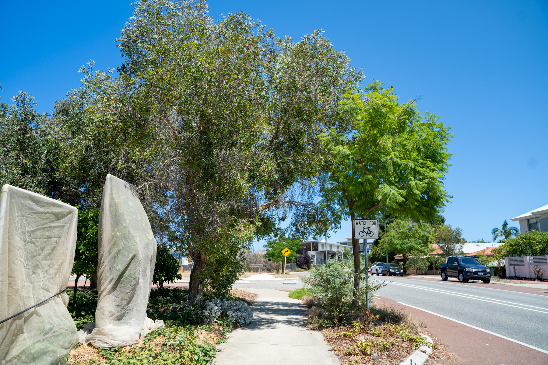 Description of image