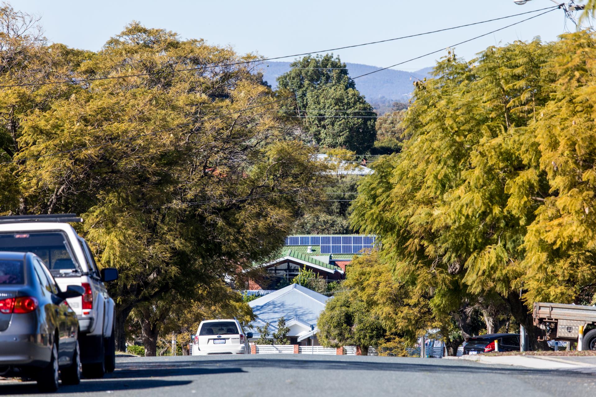 Sustainable Development Image