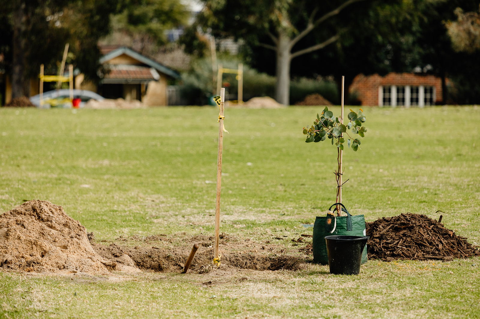 Tree Planting and Retention On-Site Image