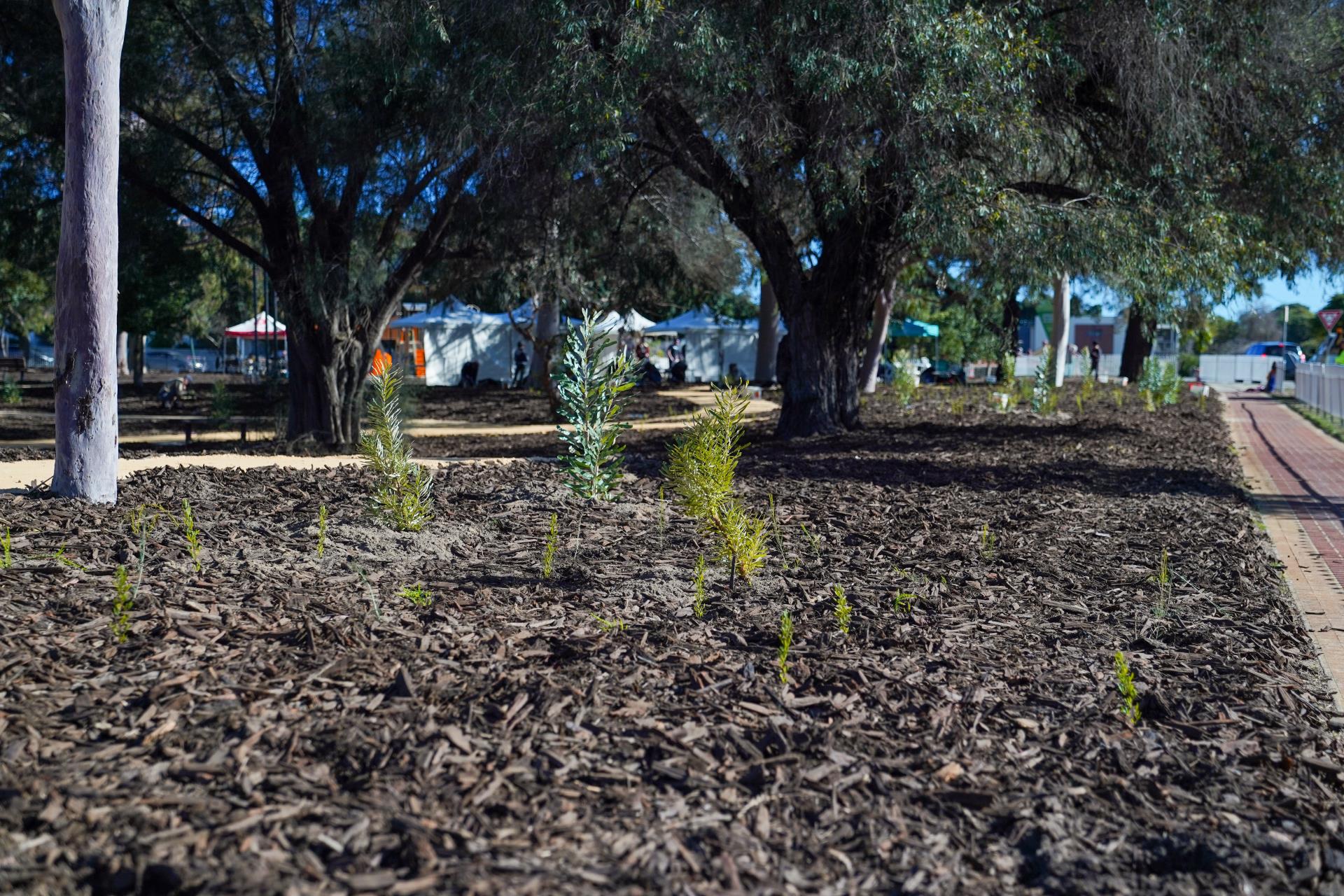 Urban Ecosystems Image