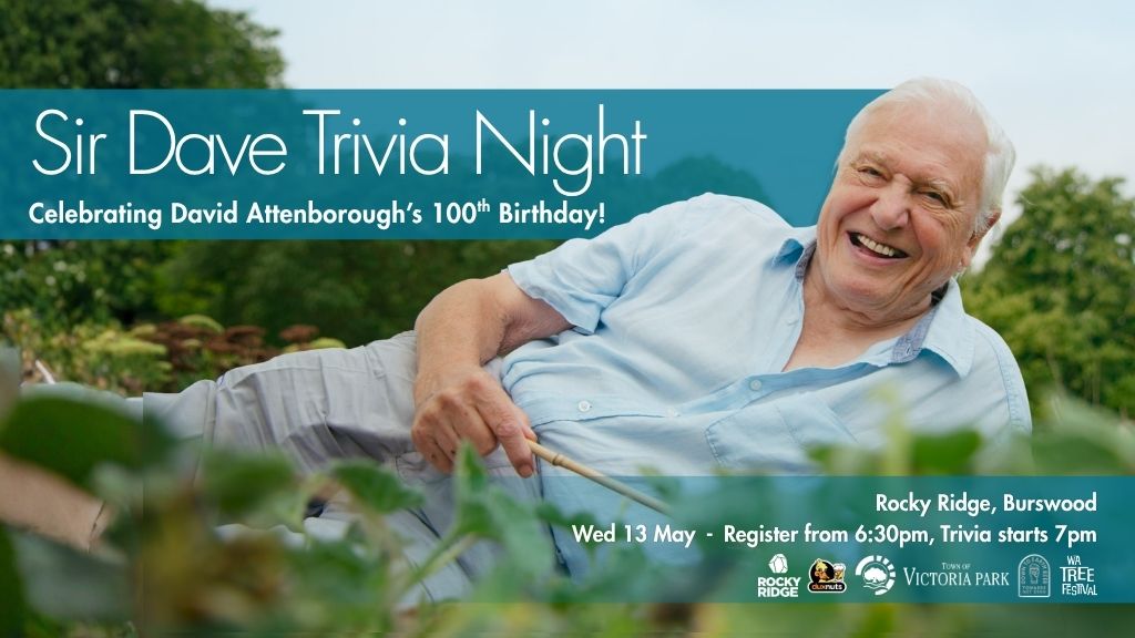 Sir Dave Trivia Promo Image