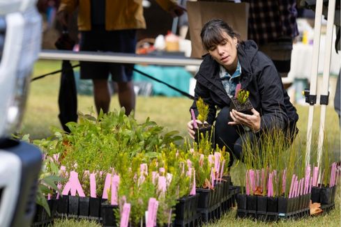 Description of image