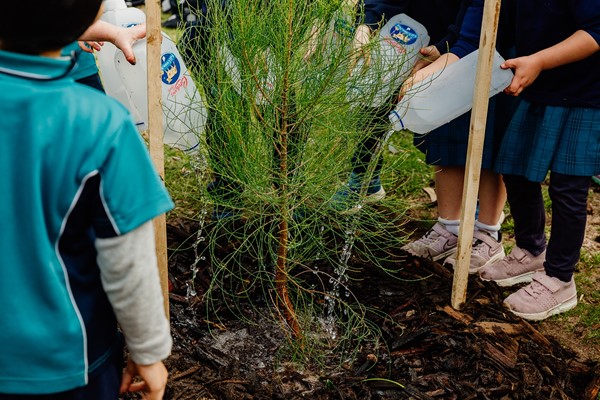 Image Millen Primary Tree Planting 2021 -
