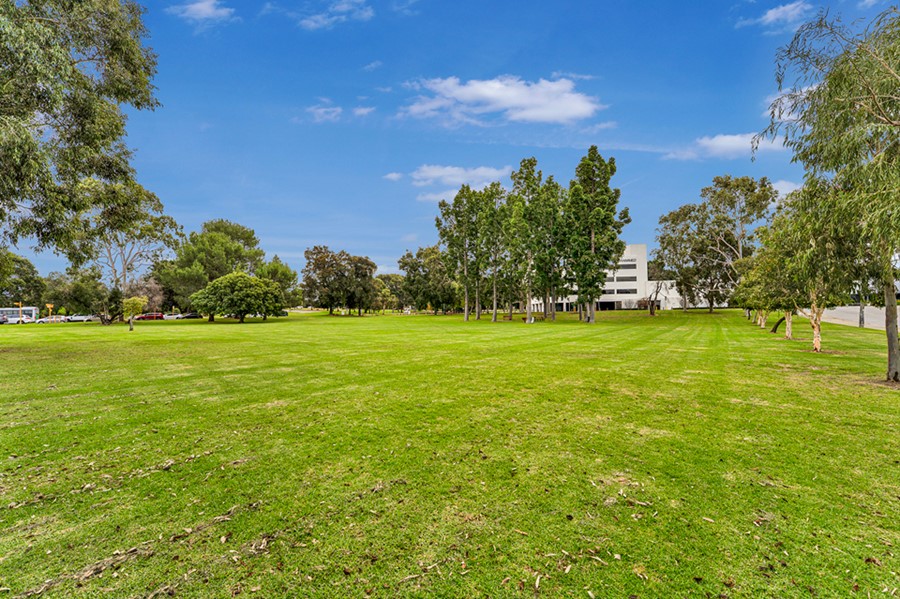 Image: Charles Paterson Park