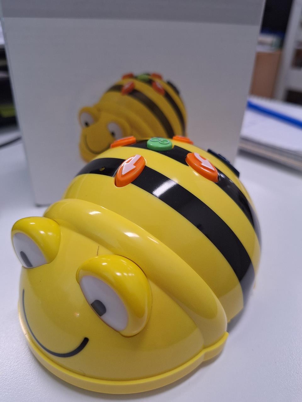 Coding with Bee Bots