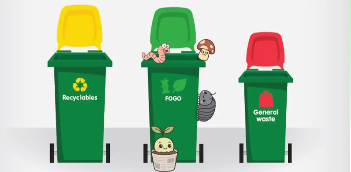 Children's FOGO workshop