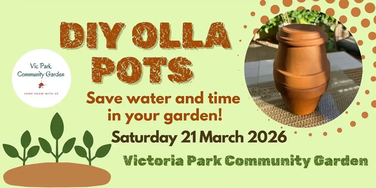 DIY Olla Making Workshop