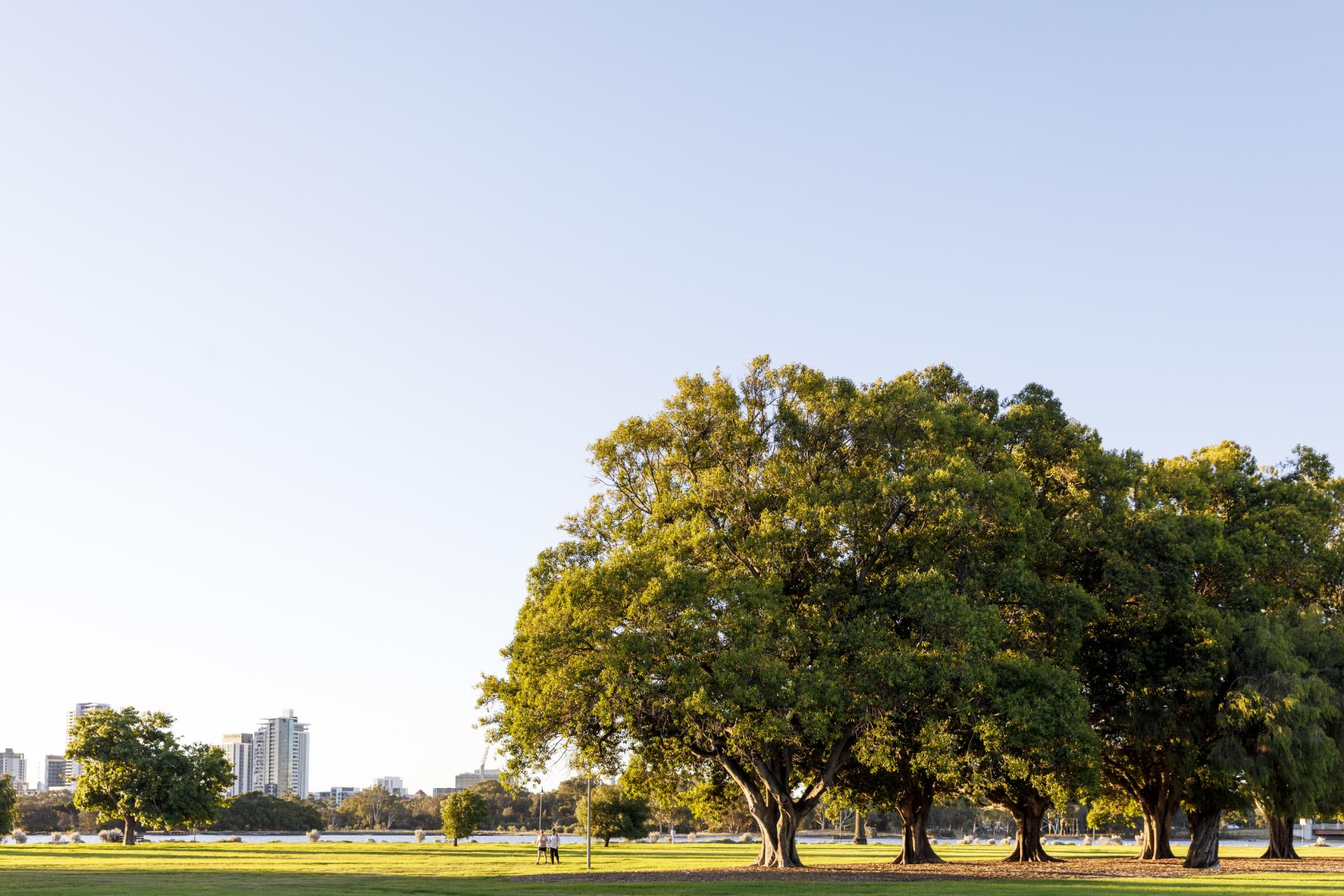 McCallum Park and Taylor Reserve Master Plan Drop-in session