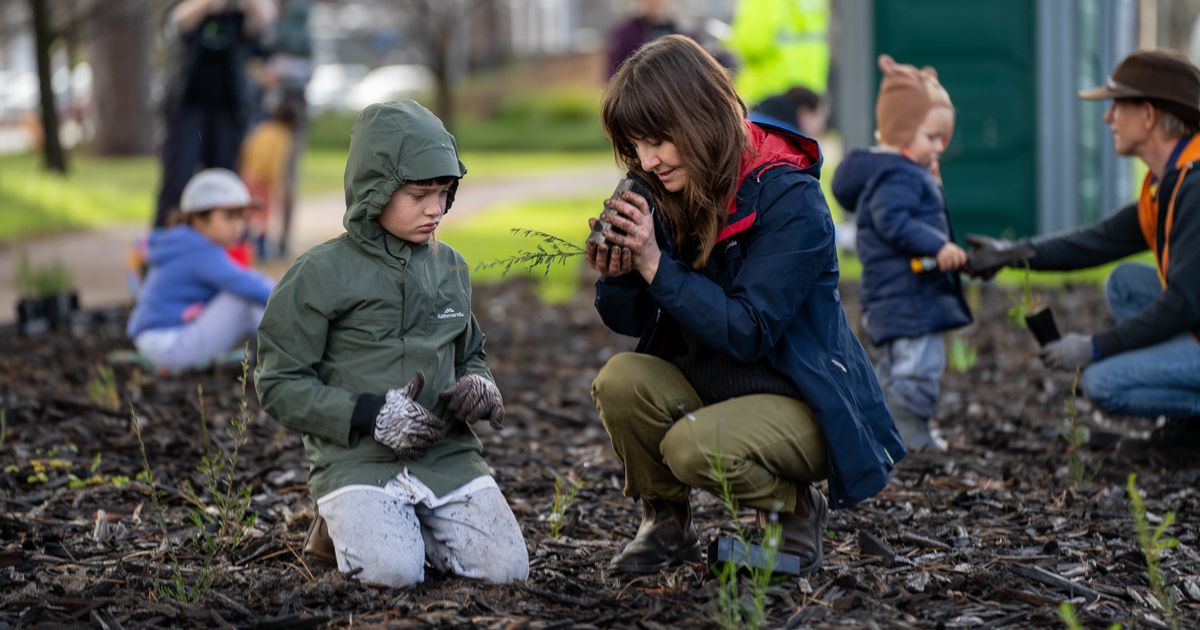 Lets Grow Grants - Info Session and Workshop