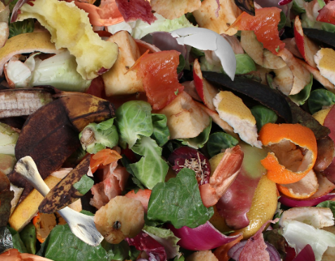 Complete Guide to Home Composting