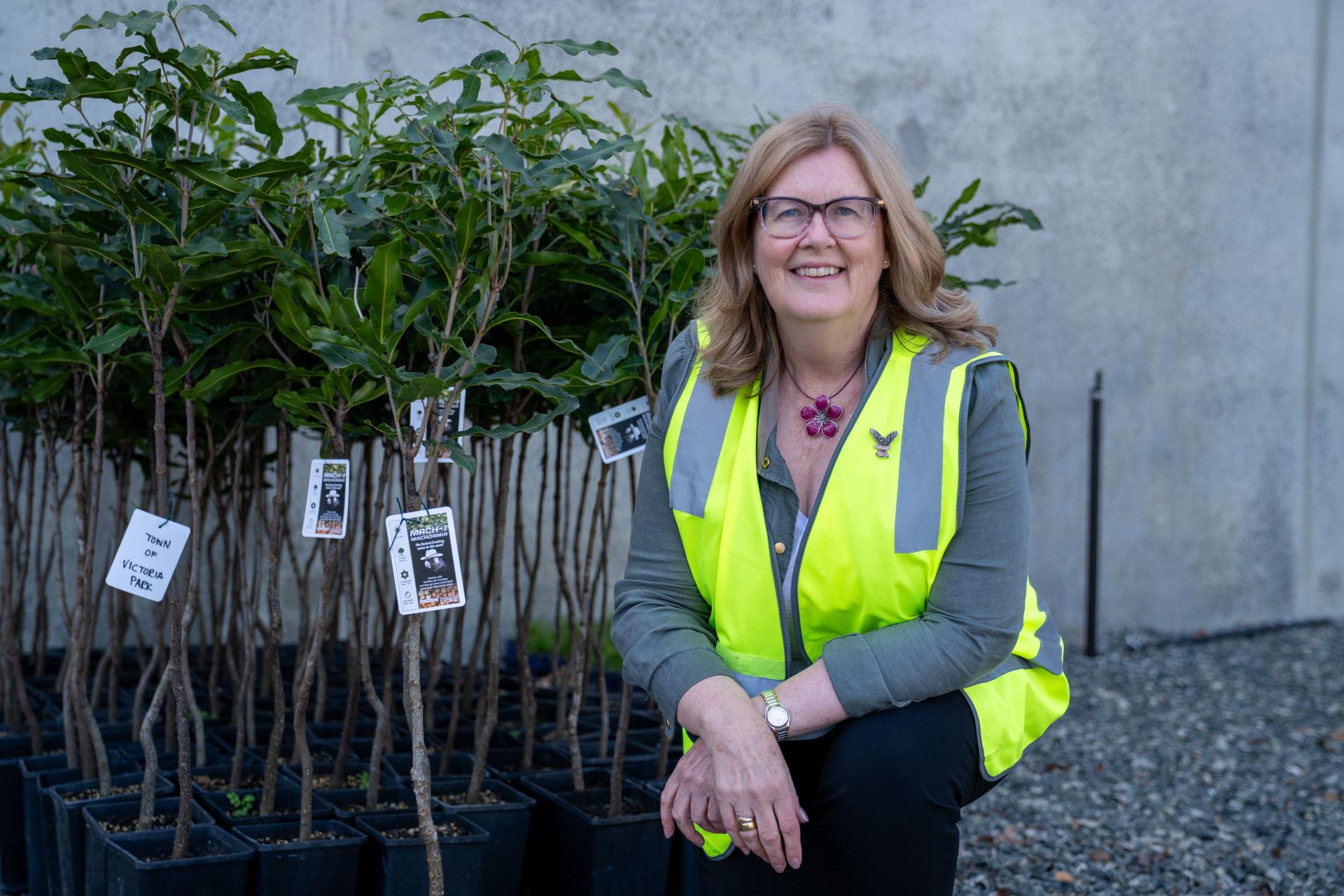 Town plants trees to save Carnaby’s black-cockatoos