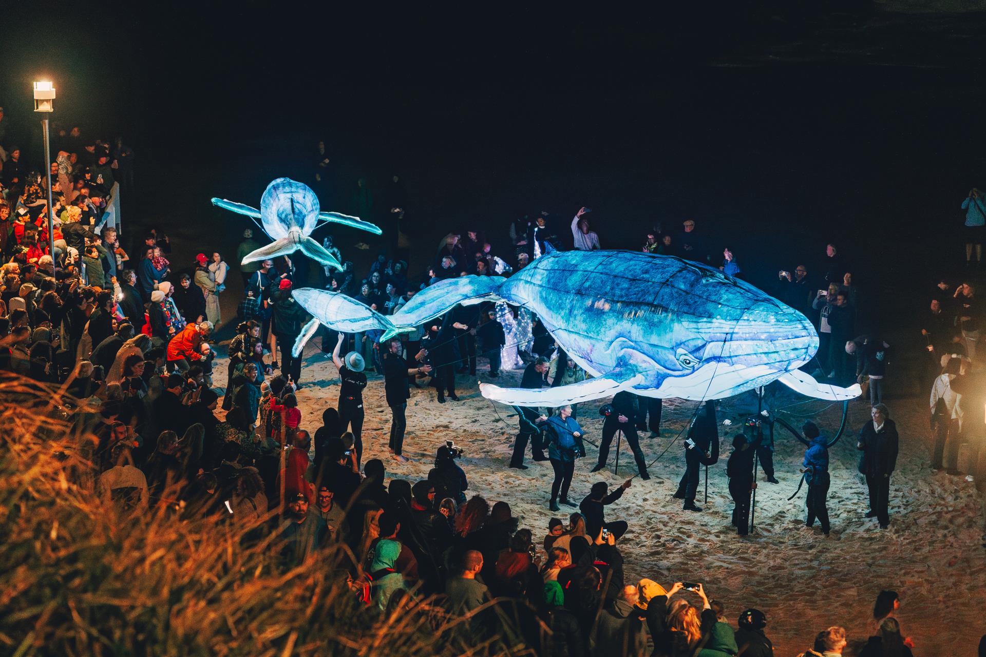 P(ART)icipate cancelled due to weather