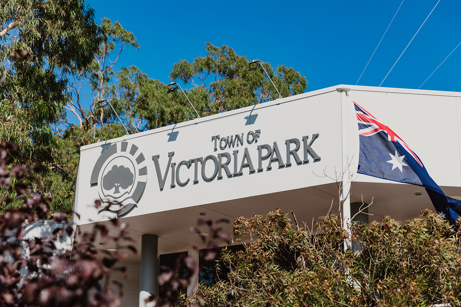 Tree removal report deferred to enable peer review