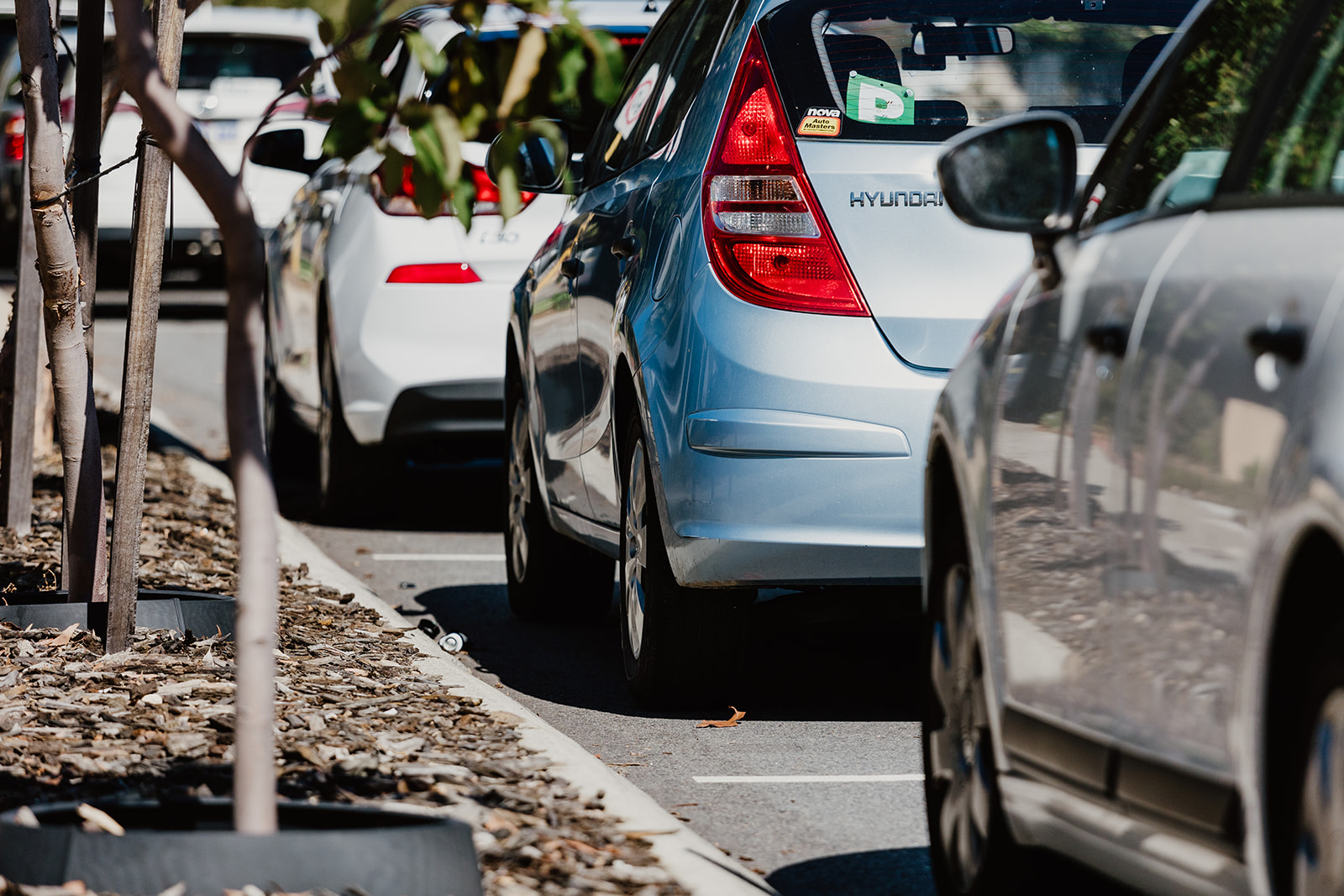 New infringement system live