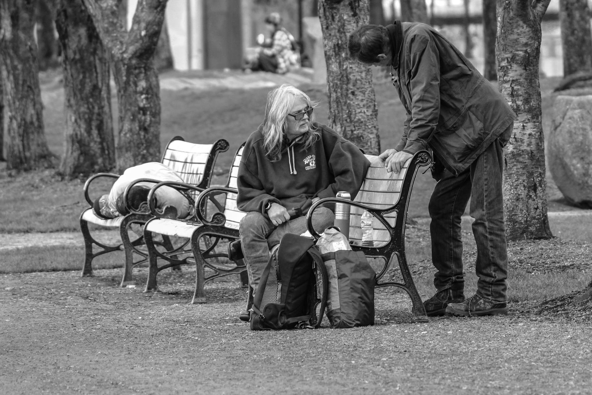 Have your say on the Draft Homelessness Action Plan 2026-2030