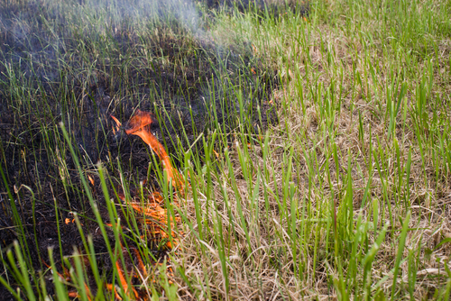 Fire Season is coming