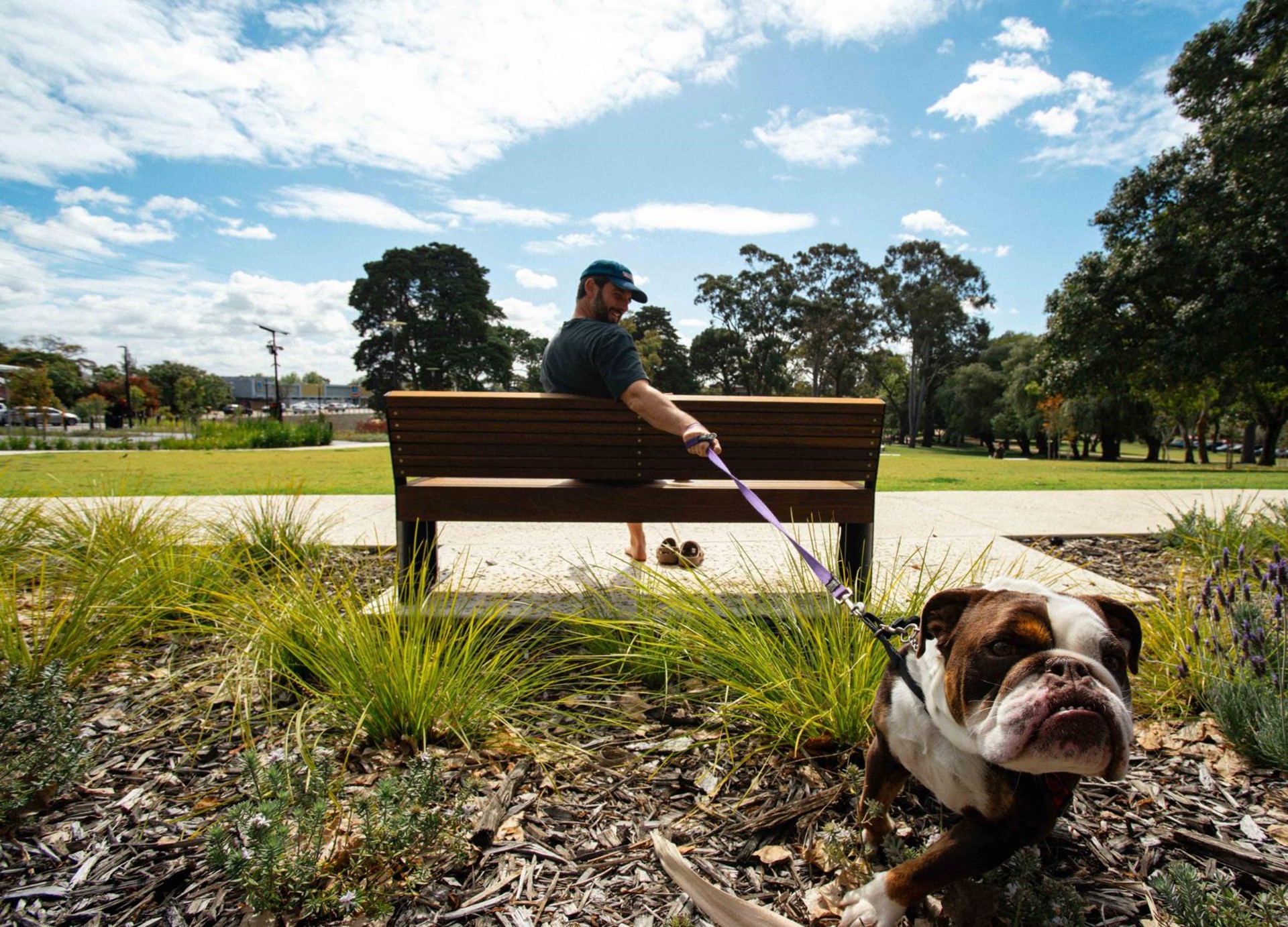 Picture: Pet registrations open