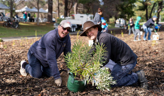 Be part of the Town's Urban Forest Strategy