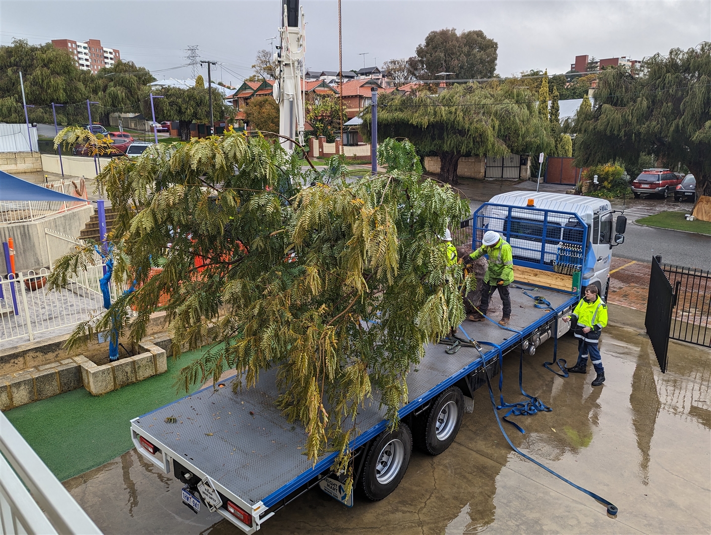 Urban Forest knowledge hub » Town of Victoria Park